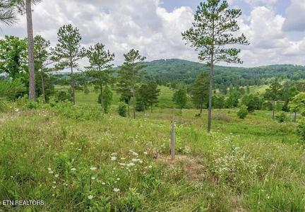 915 Eagle Nest Drive