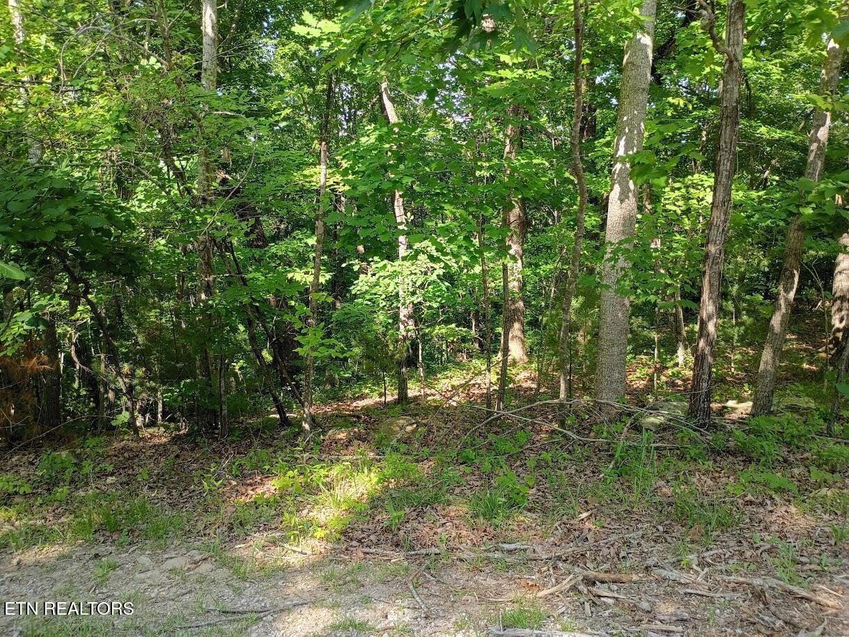 Image 1: 139 Havenridge Circle