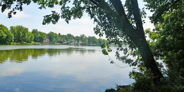 Image 2: DSC_0360