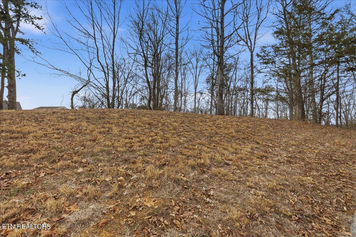 Image 2: 02-Buckhead Trail Lot-3