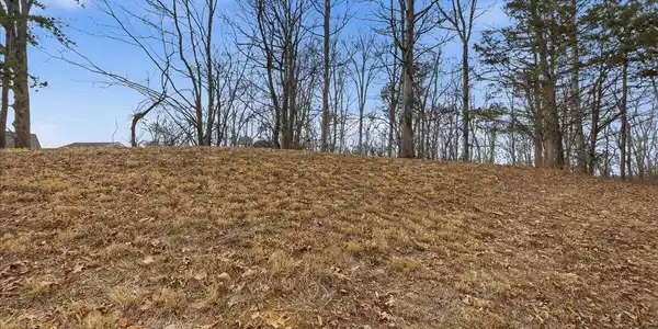 Image 2: 02-Buckhead Trail Lot-3