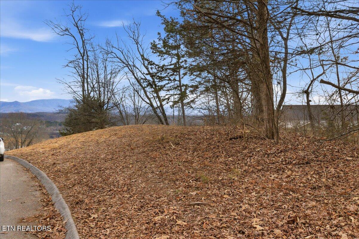 Image 3: 03-Buckhead Trail Lot-4