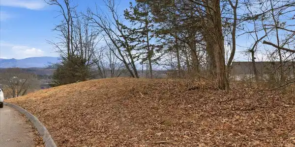 Image 3: 03-Buckhead Trail Lot-4
