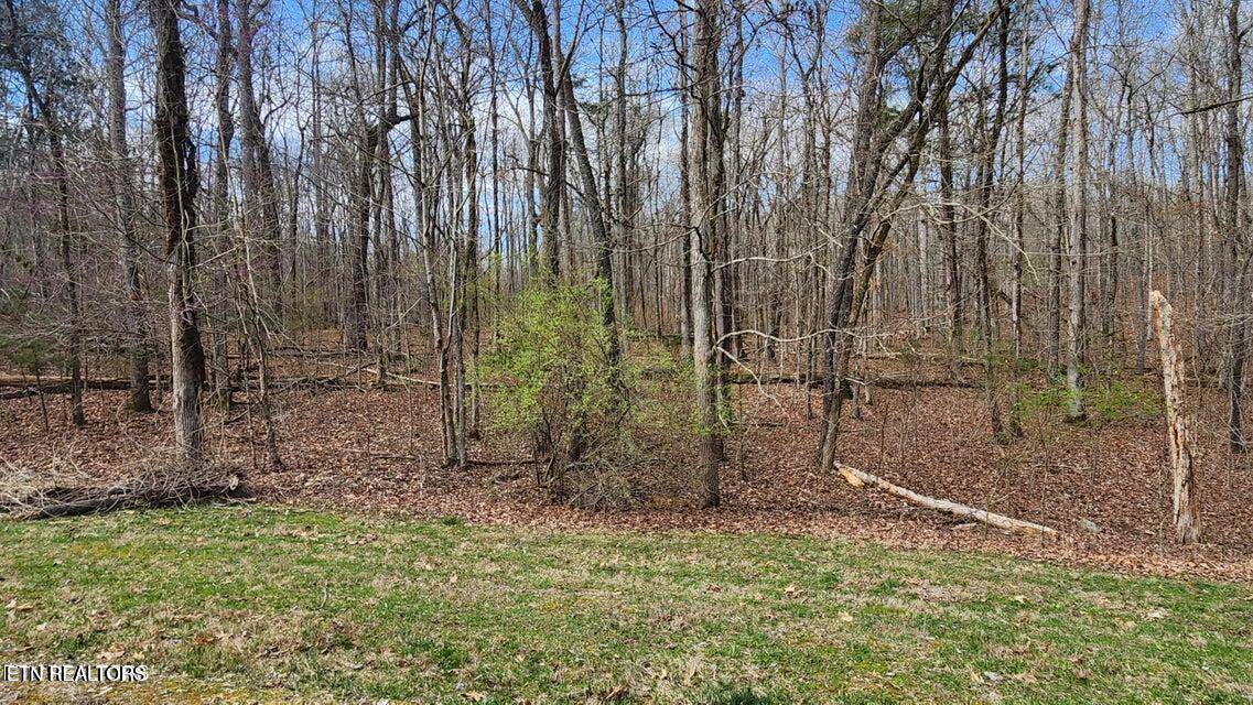 Image 1: 210 E shore b