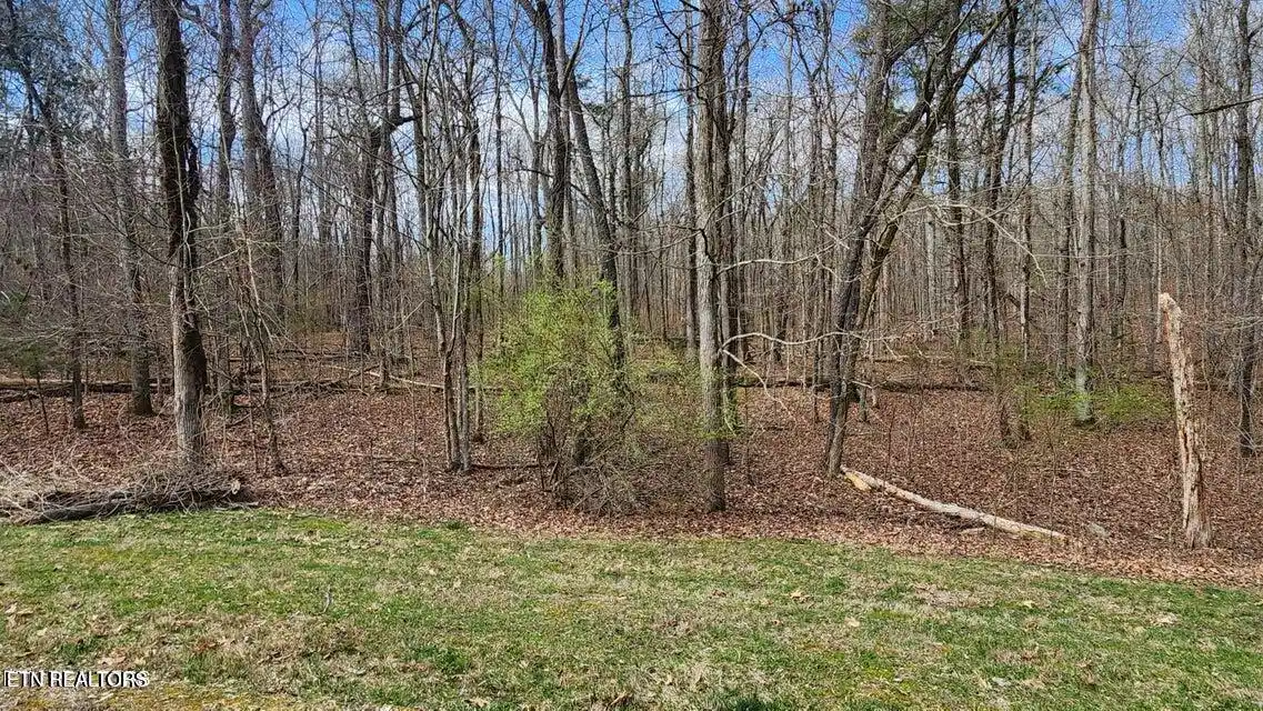 Image 1: 210 E shore b