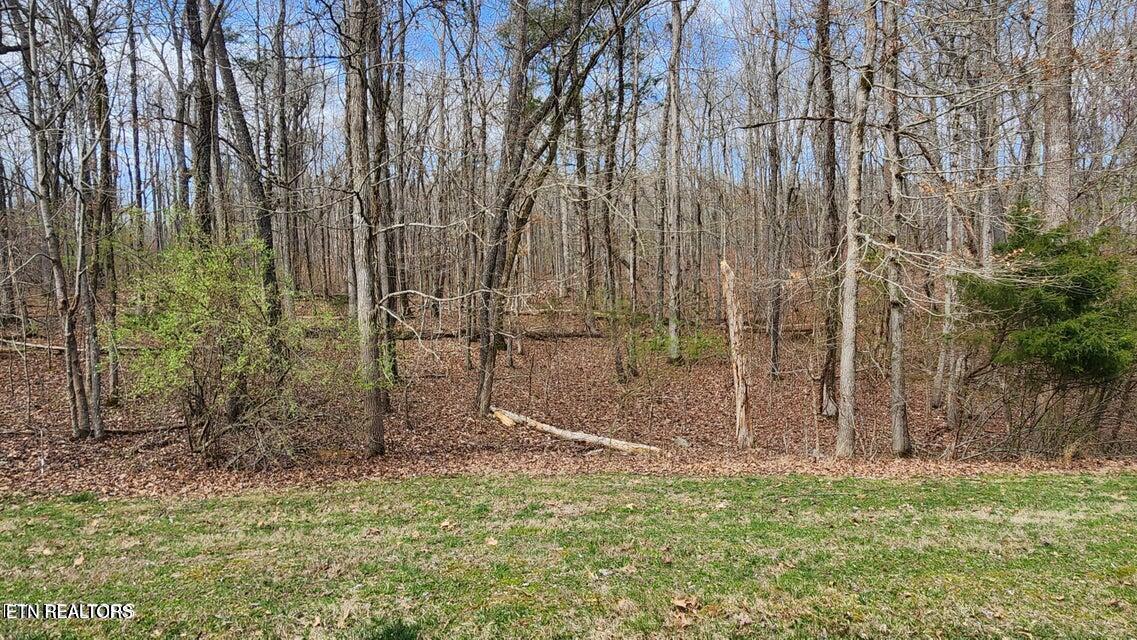 Image 3: 210 E shore A