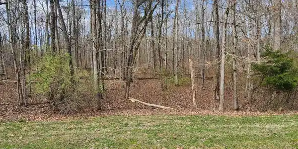Image 3: 210 E shore A