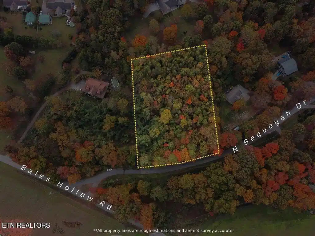 Image 1: Aerial