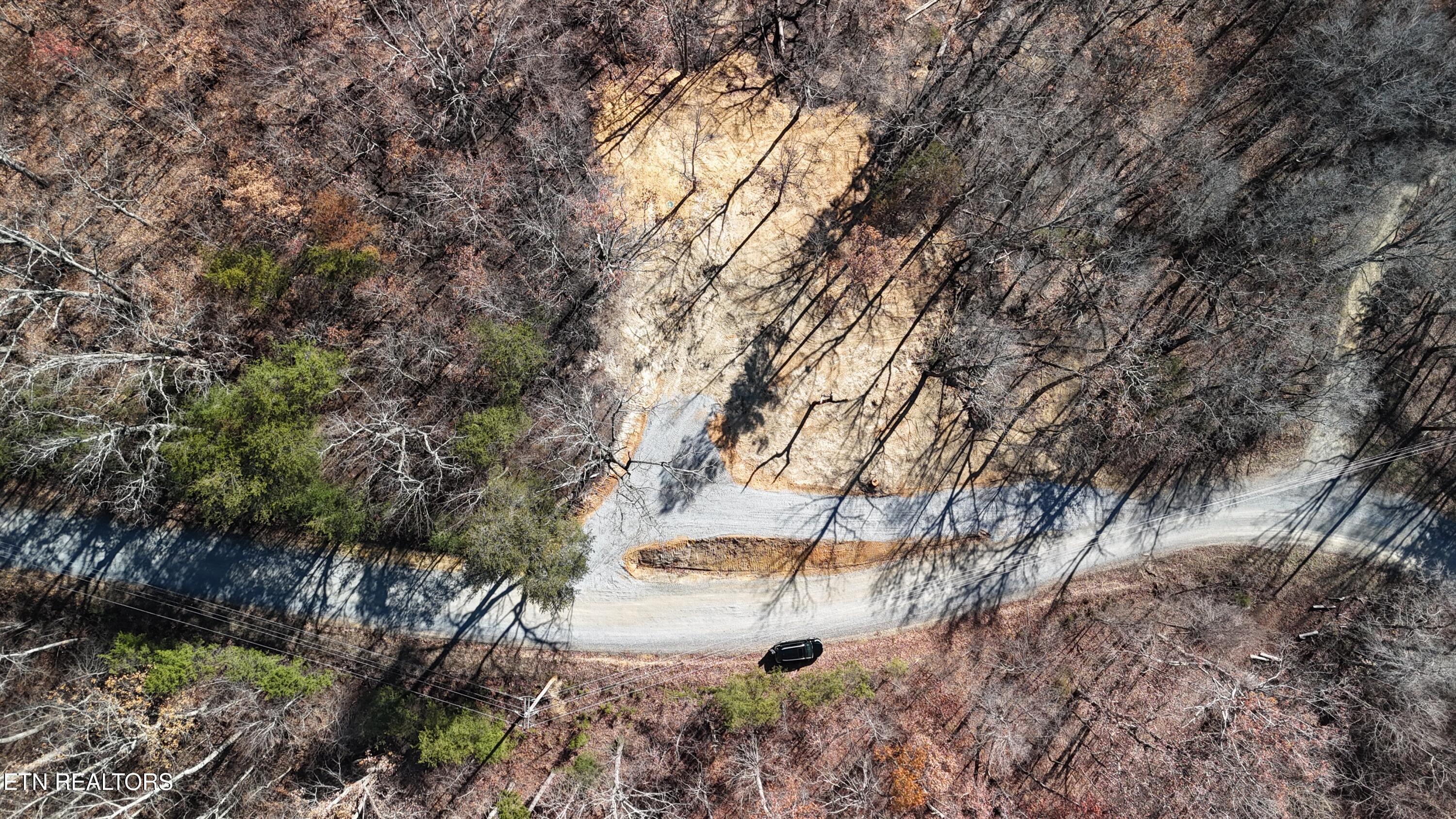 Image 4: Pic 1