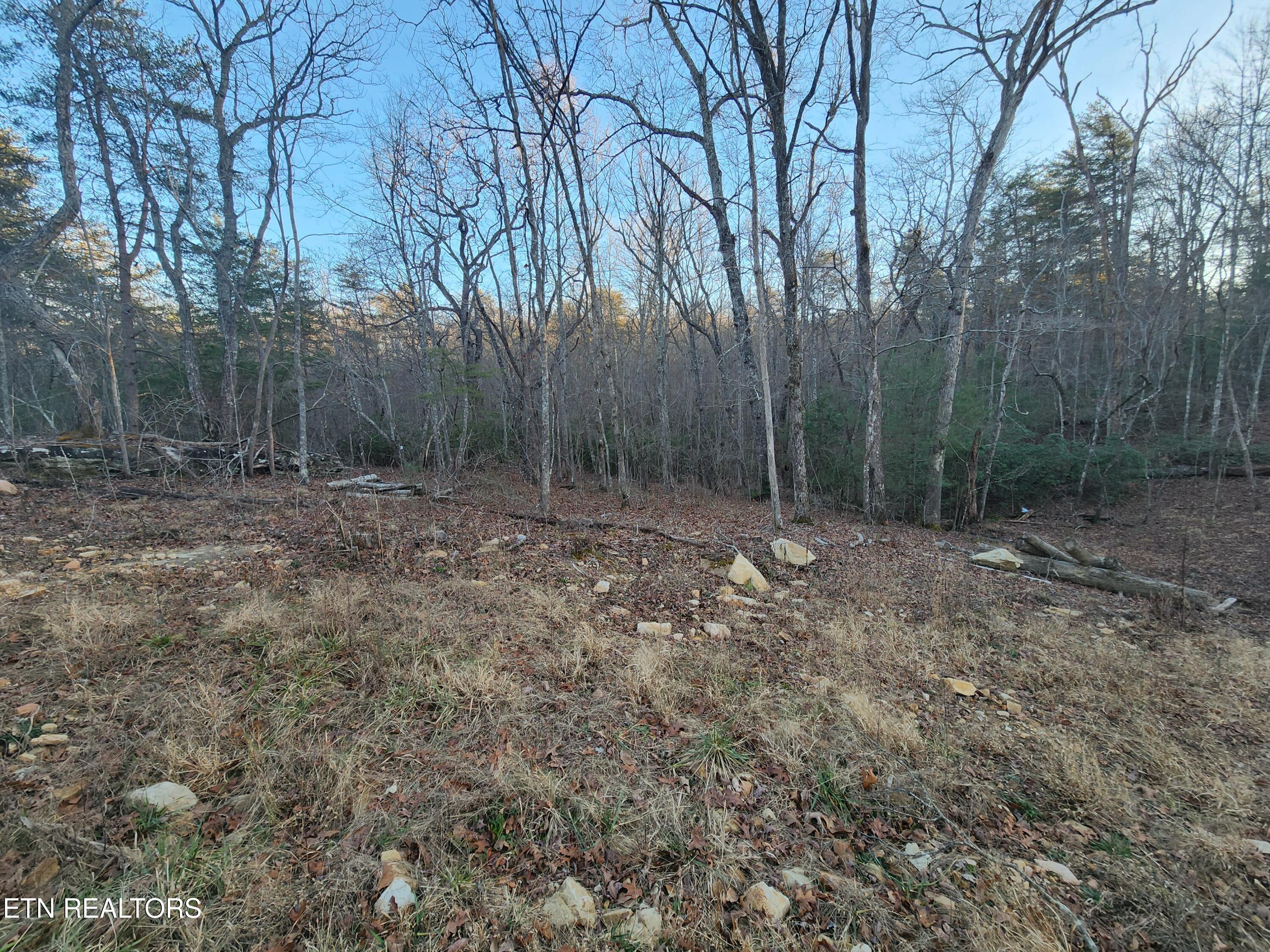 Image 2: 20260113_160835