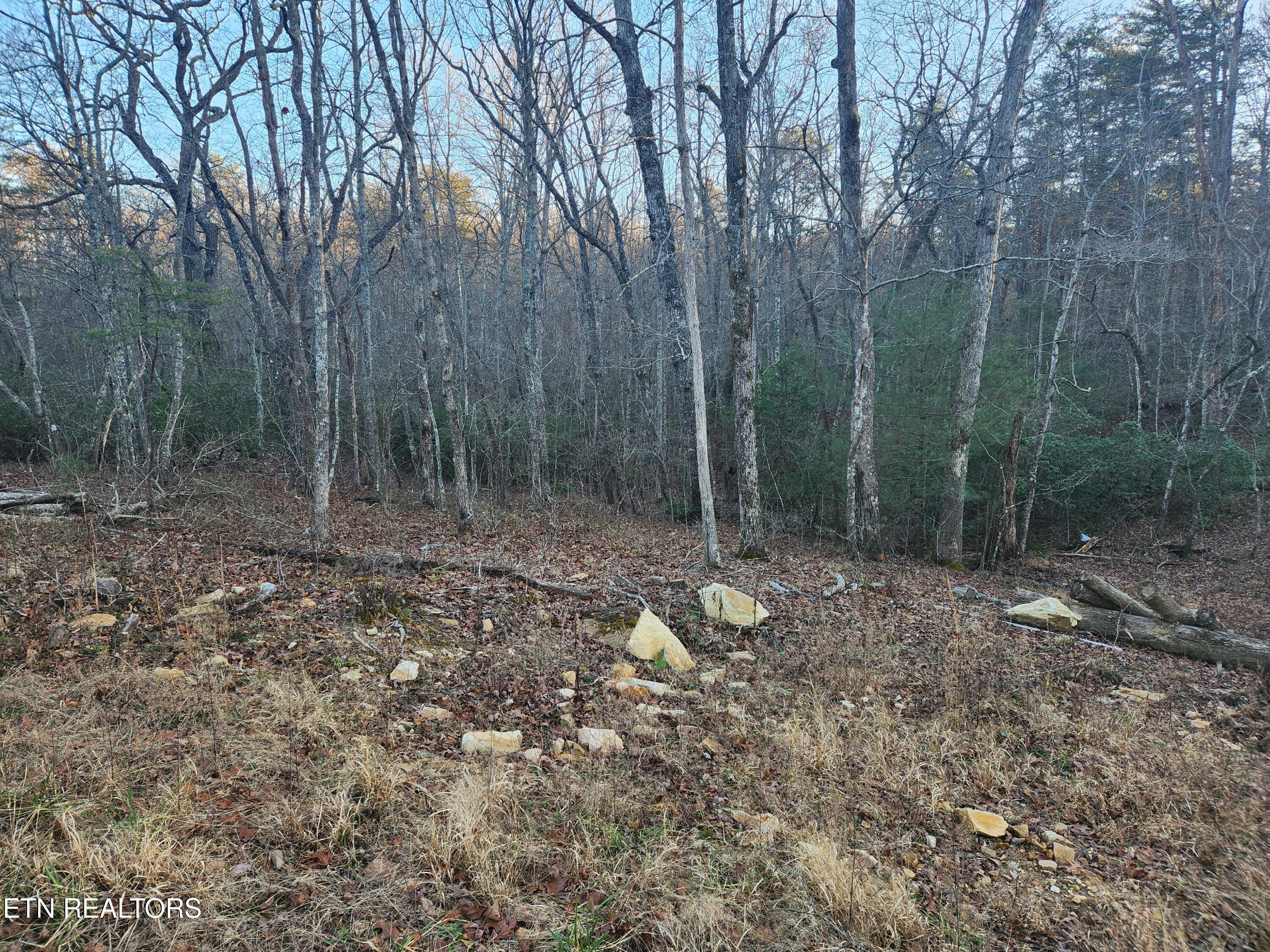 Image 4: 20260113_160831