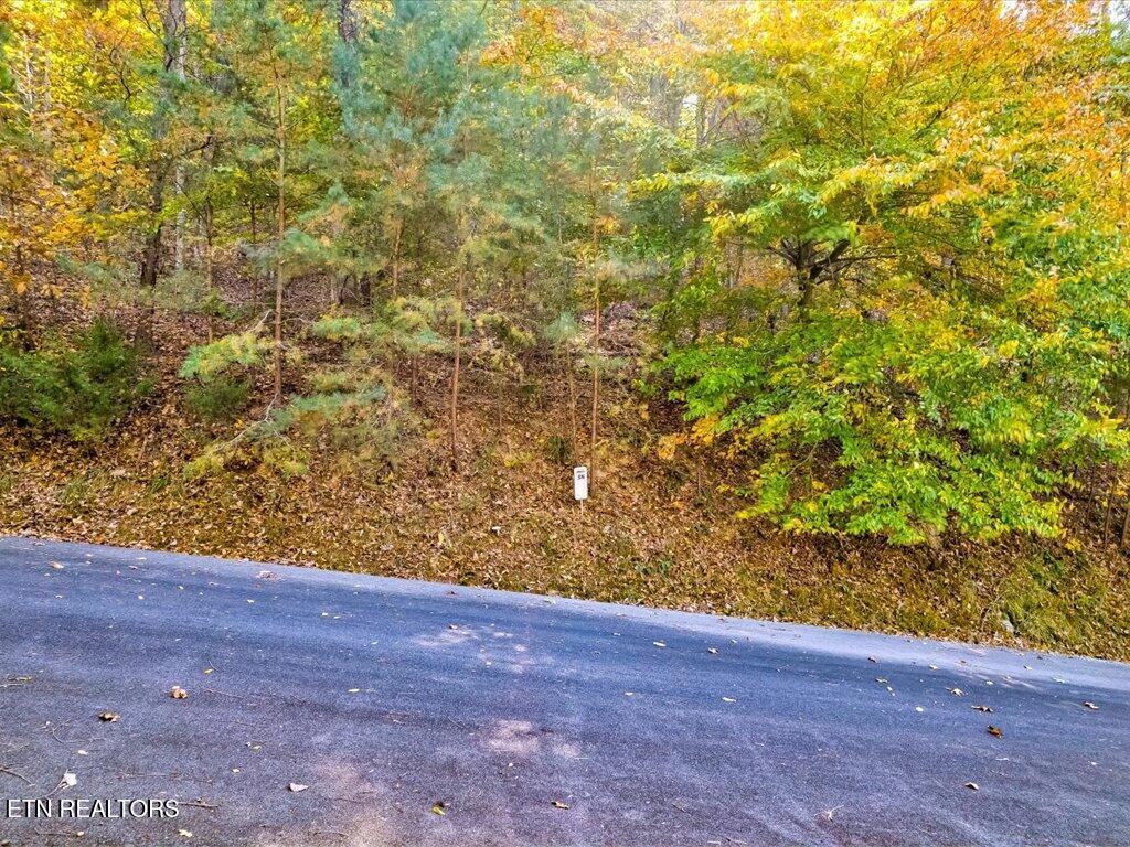 Image 3: Lot 38 Five Oaks Cir - 3