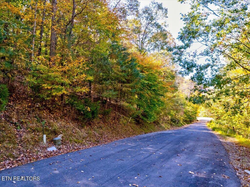 Image 4: Lot 38 Five Oaks Cir - 4