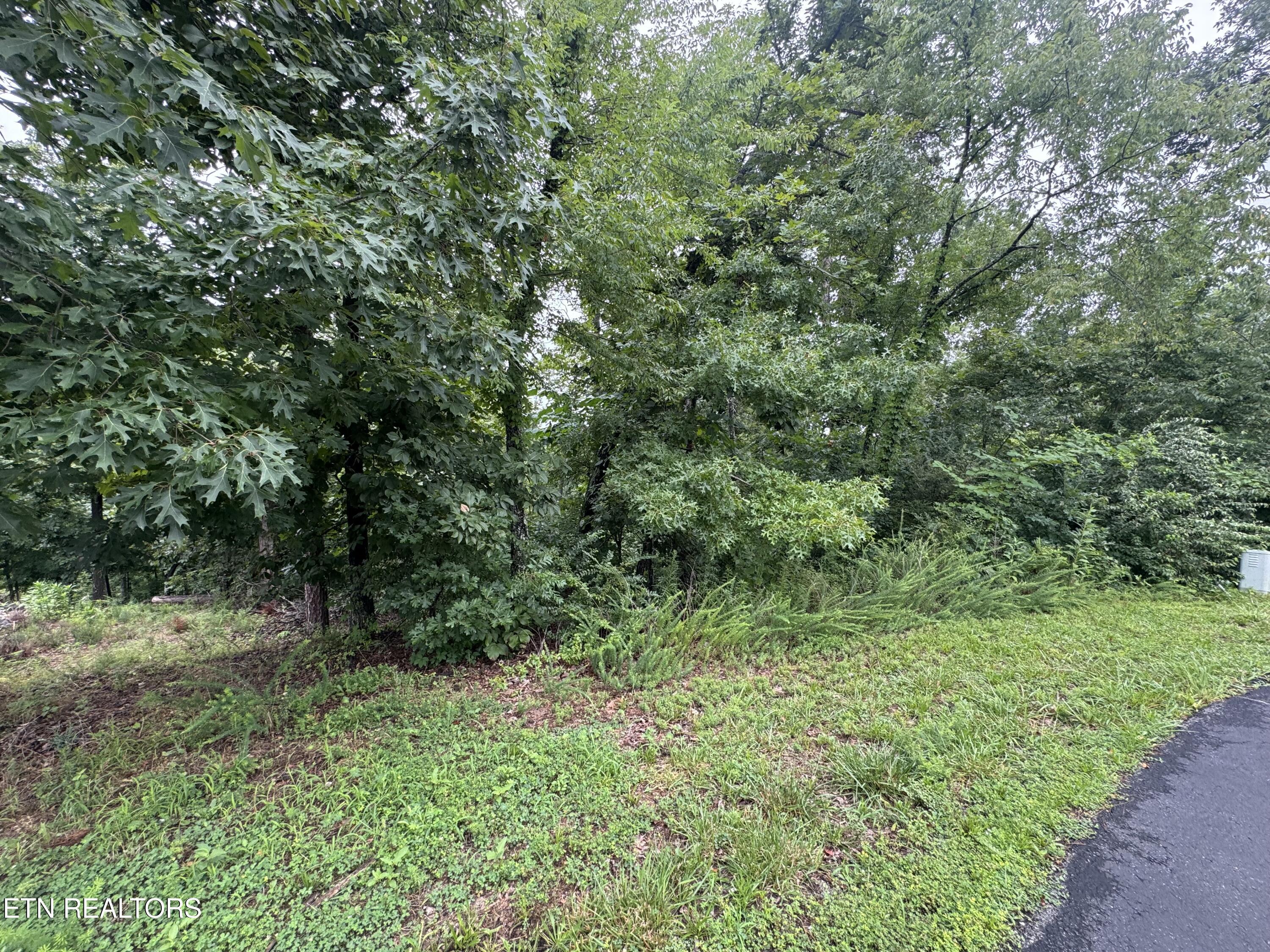 Image 1: 312 Skiatook