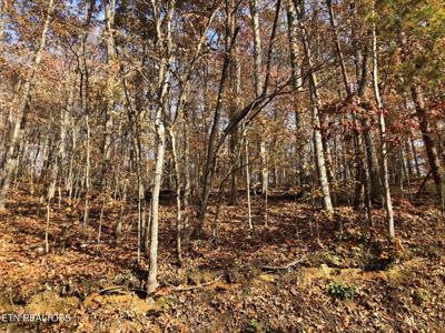 Lot 52 Harbor Lane