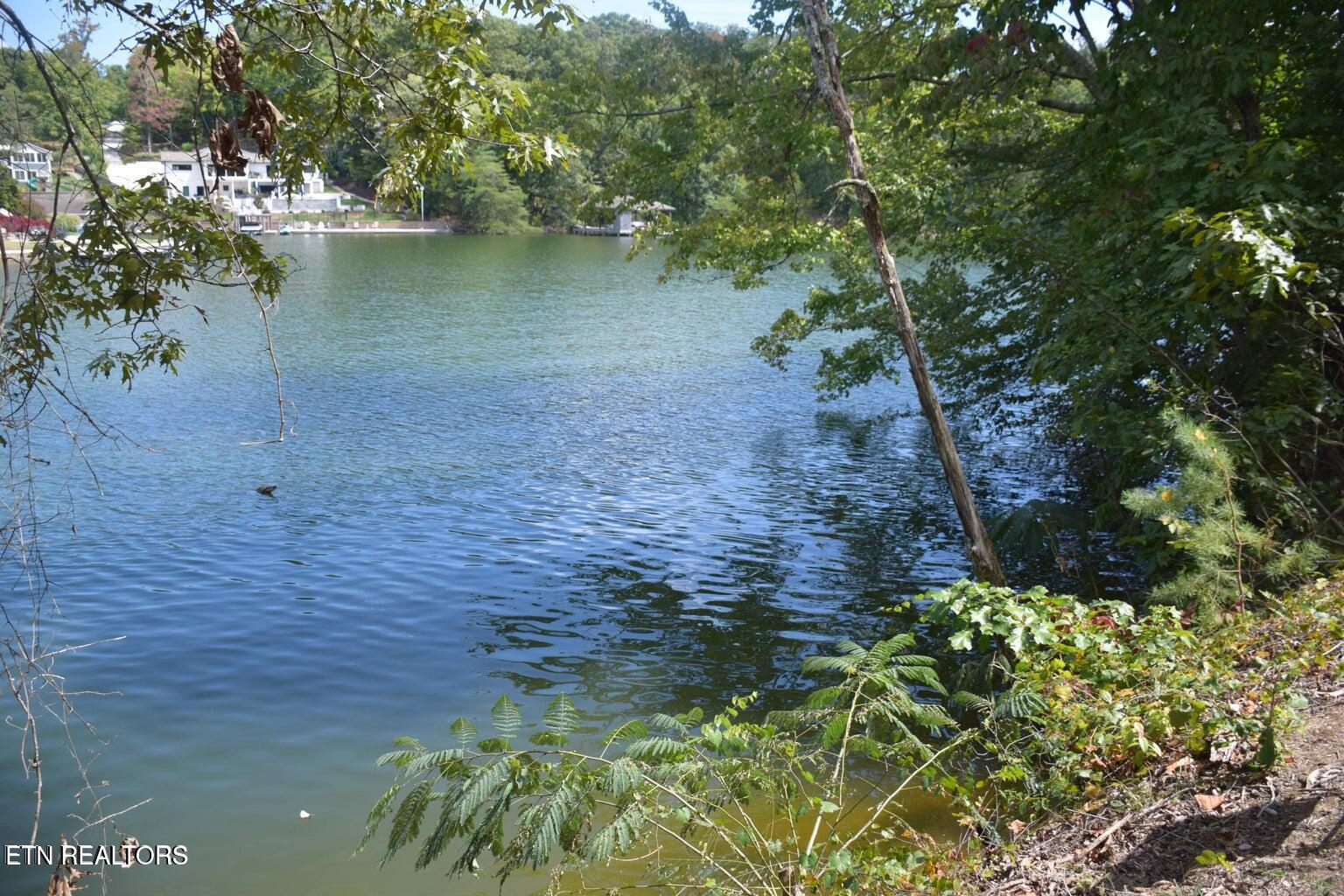 Image 1: Pic 1
