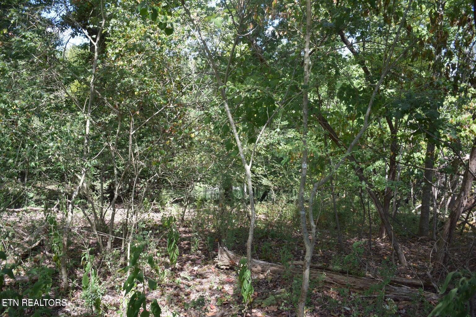 Image 3: Pic 3