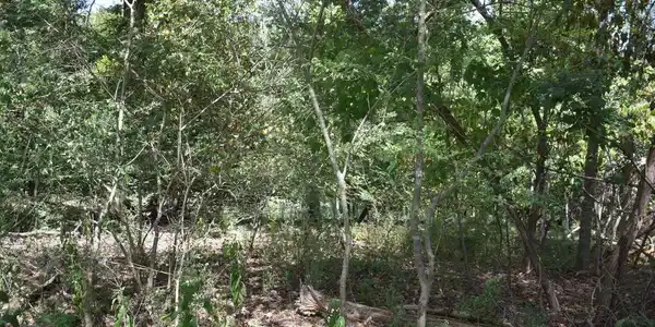 Image 3: Pic 3