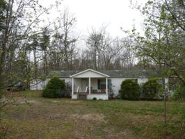 206 Whitetail Lane