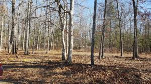 6048 Loch Loosa Drive 379/380