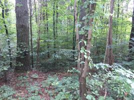 Lot 3 Waterview Lane