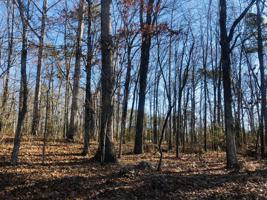215 Choowa Trace