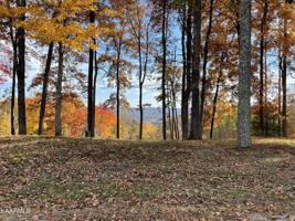 Lot 615 Hickory Way