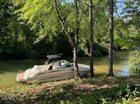 Image 4: Boat Pic1