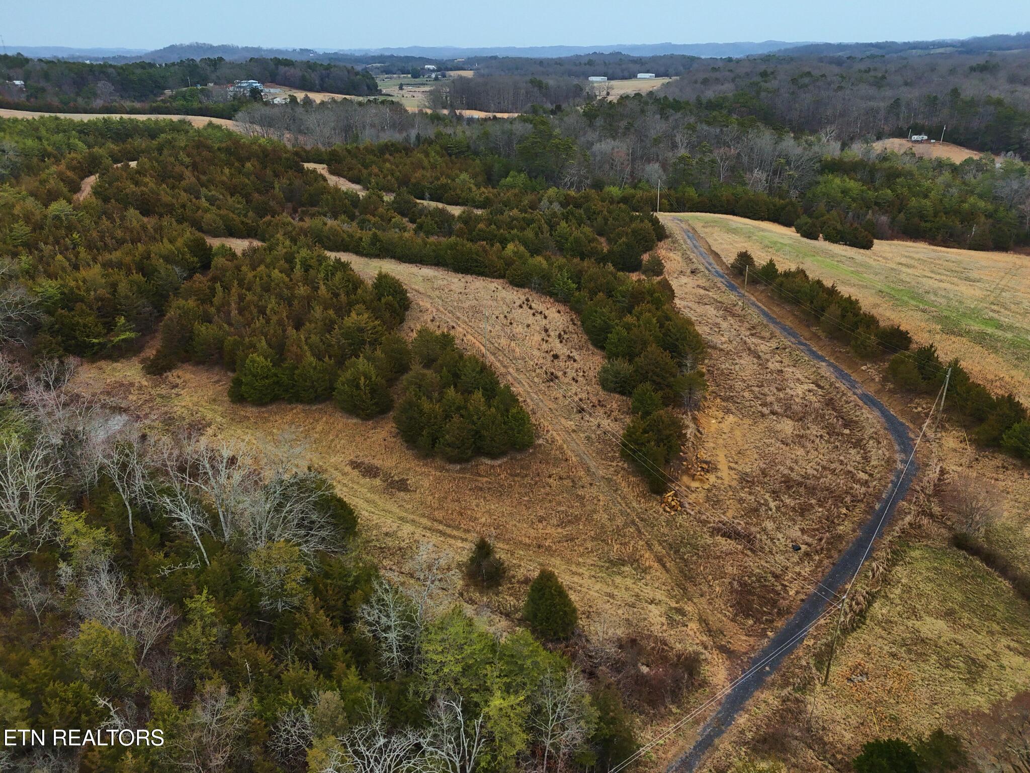 Image 1: Lot #2 1410 Swannsylvania Rd Dandridge,