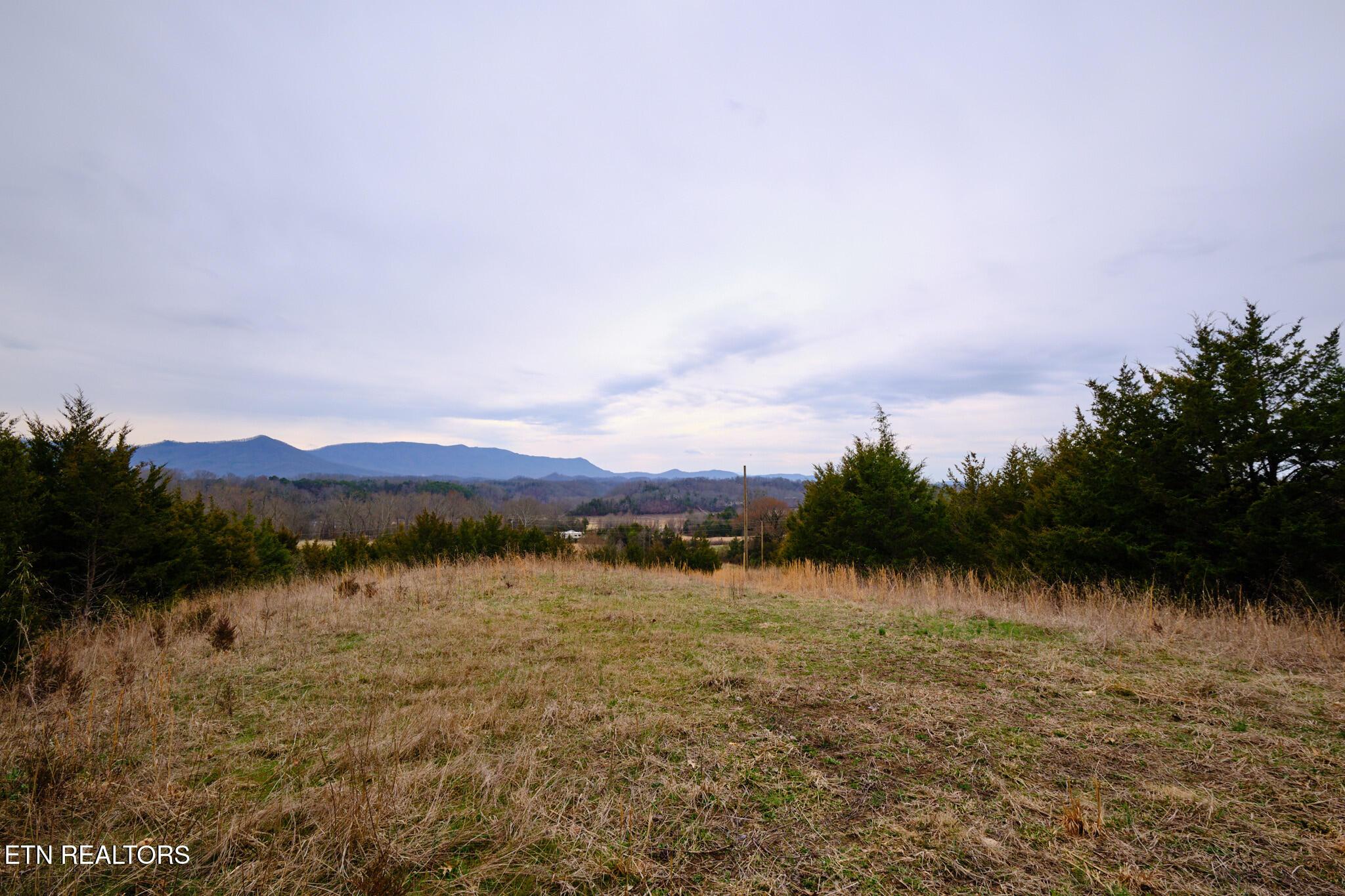 Image 3: Lot #2 1410 Swannsylvania Rd Dandridge,