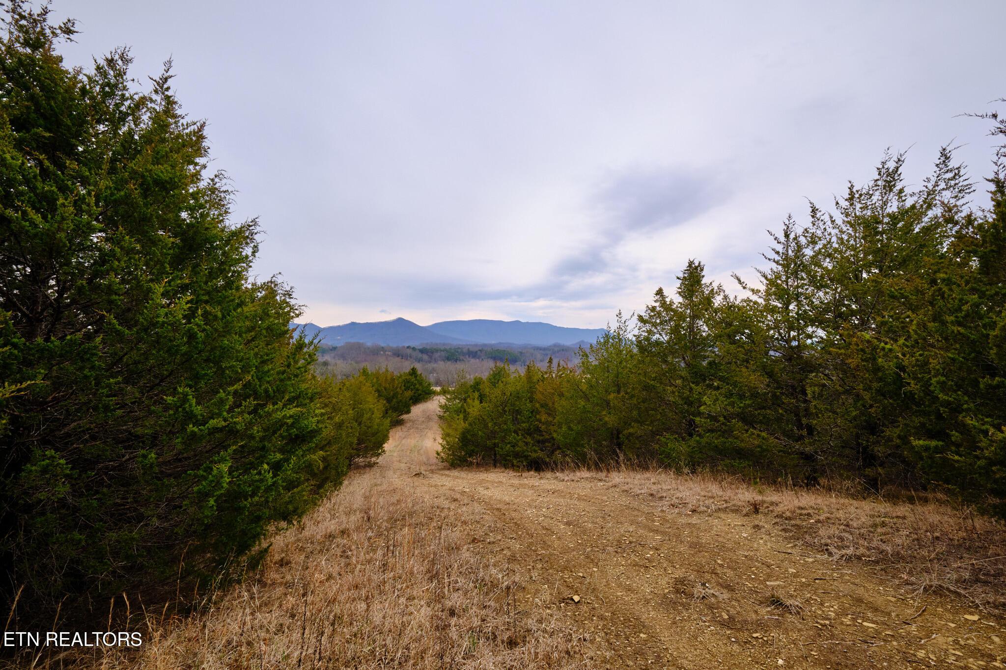 Image 4: Lot #2 1410 Swannsylvania Rd Dandridge,