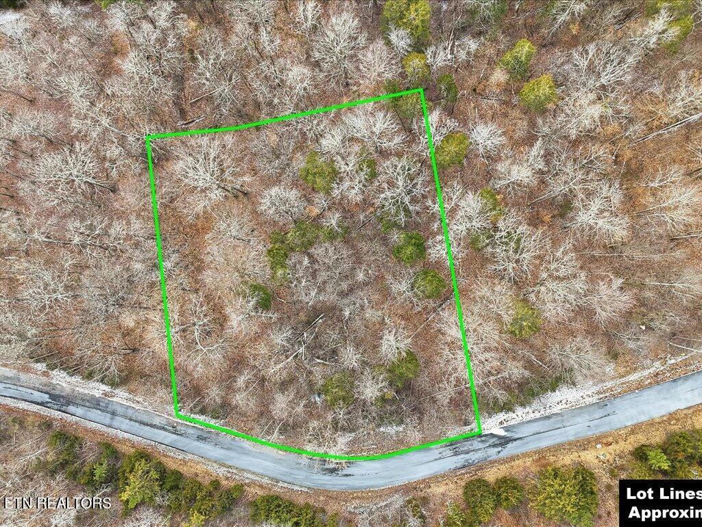 Image 2: Lot 499 Citron Ln - 2