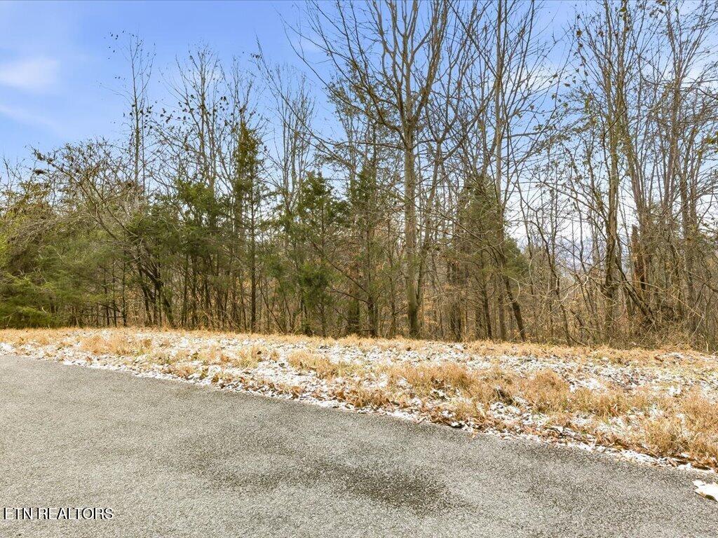Image 3: Lot 499 Citron Ln - 3