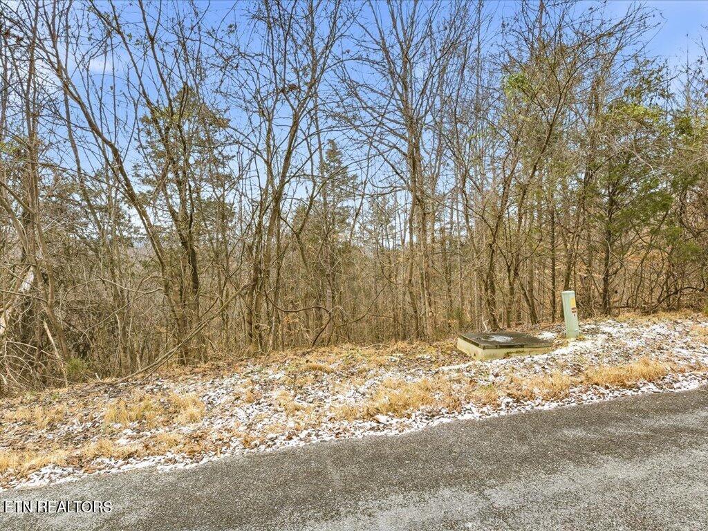 Image 4: Lot 499 Citron Ln - 4
