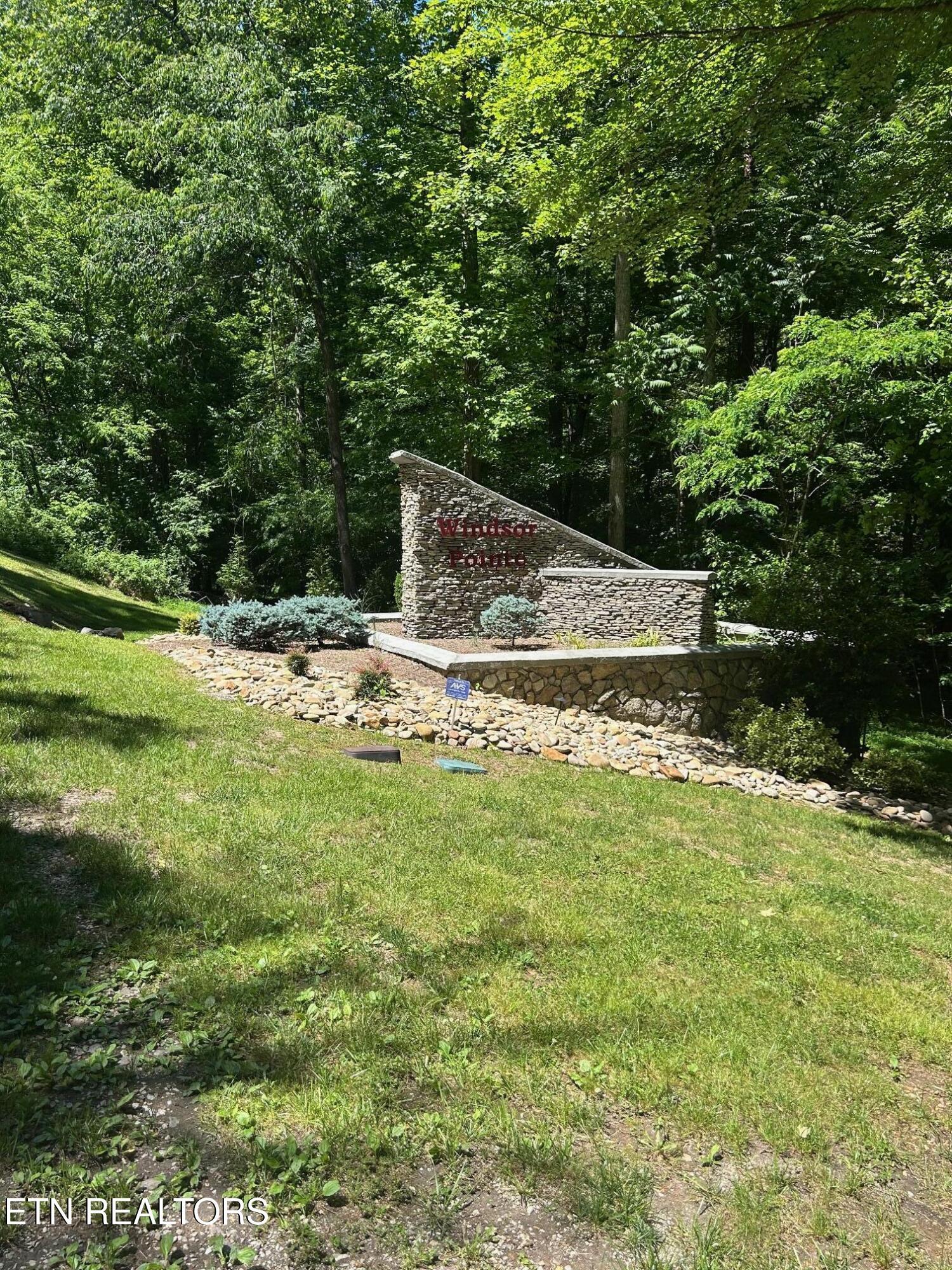 Image 2: IMG_1911