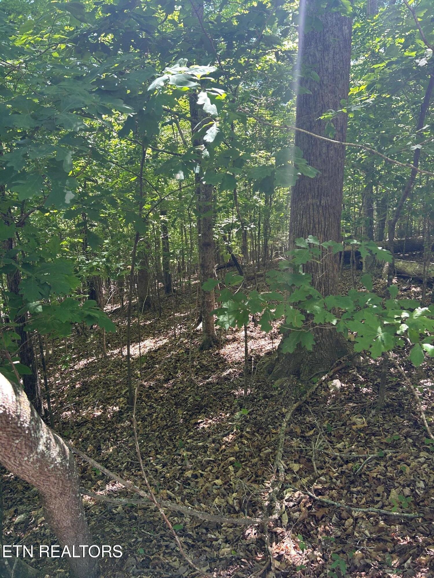 Image 3: IMG_1914