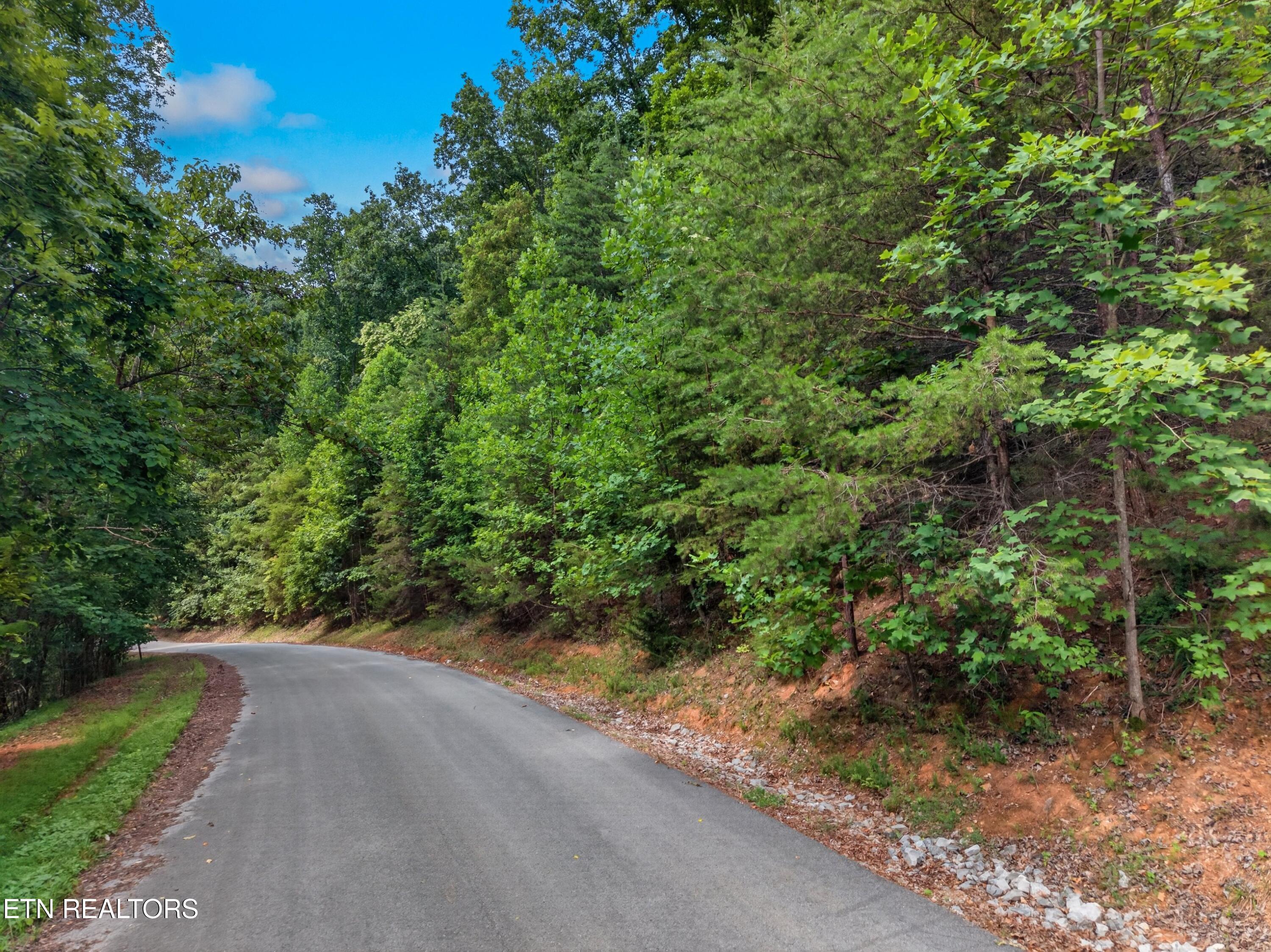 Image 2: 002-SilverTrail-NewTazewell-TN-37825-SMA