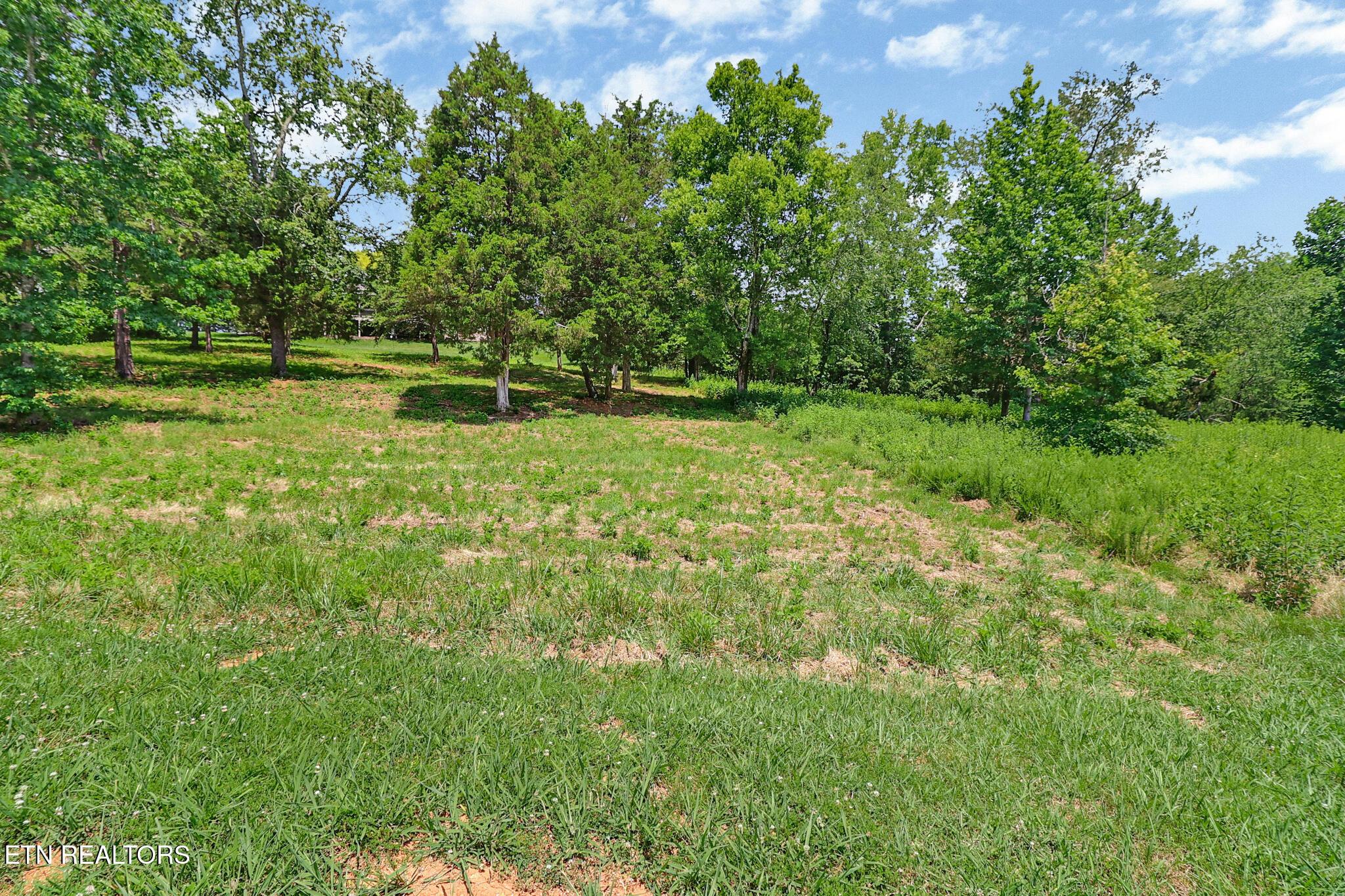 Image 4: level lot
