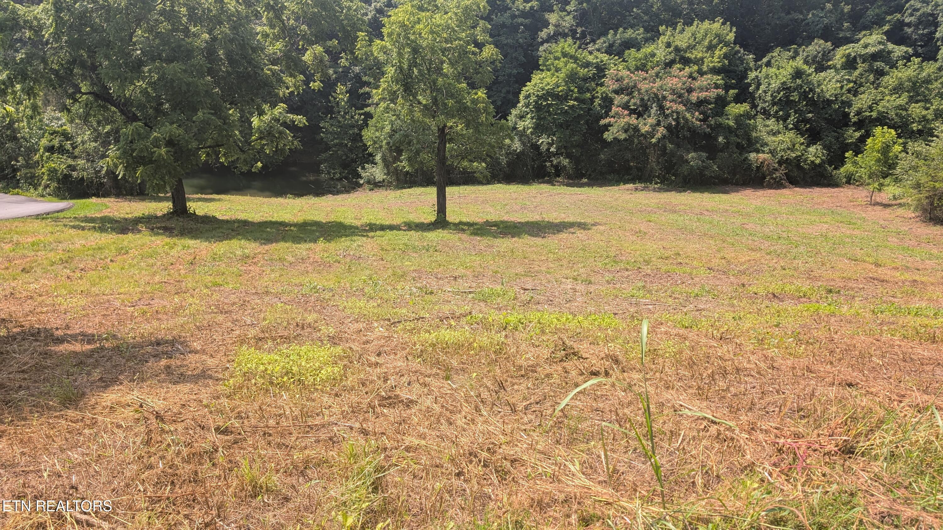 Image 4: Lot 64 Whispering Court - Seller Pic 5