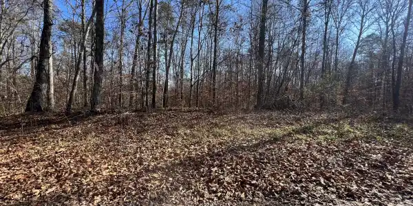 lots 1&2 Jones Ridge Rd