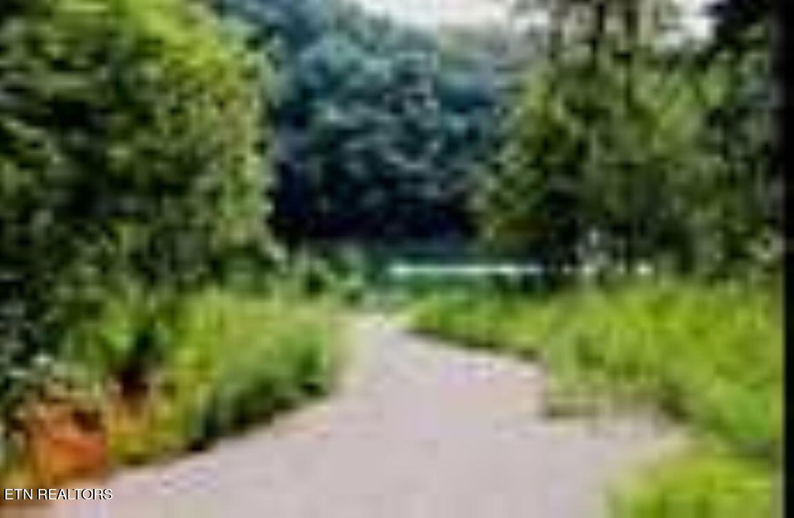 Image 4: 2-2778026245