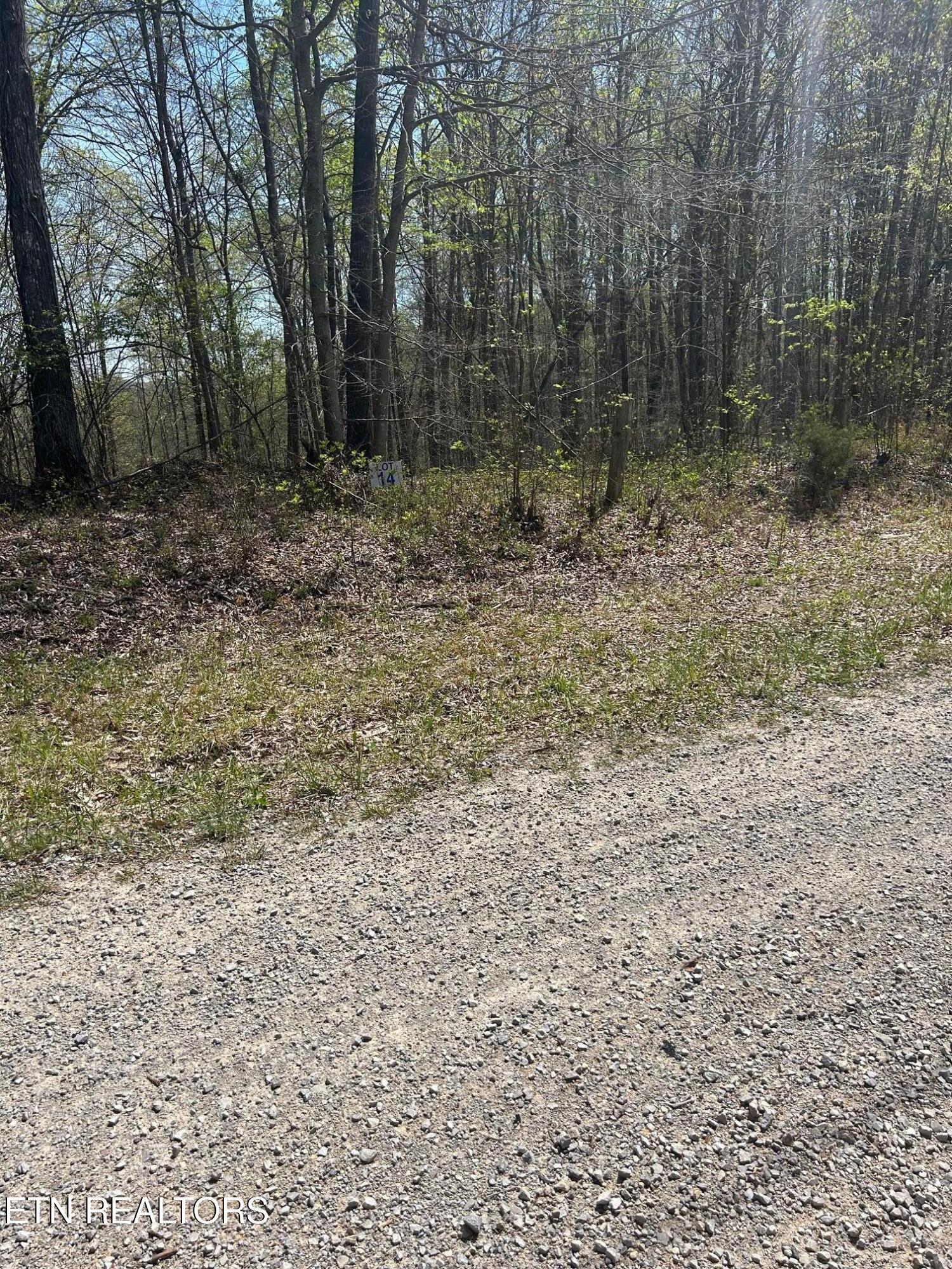 Image 3: IMG_1665