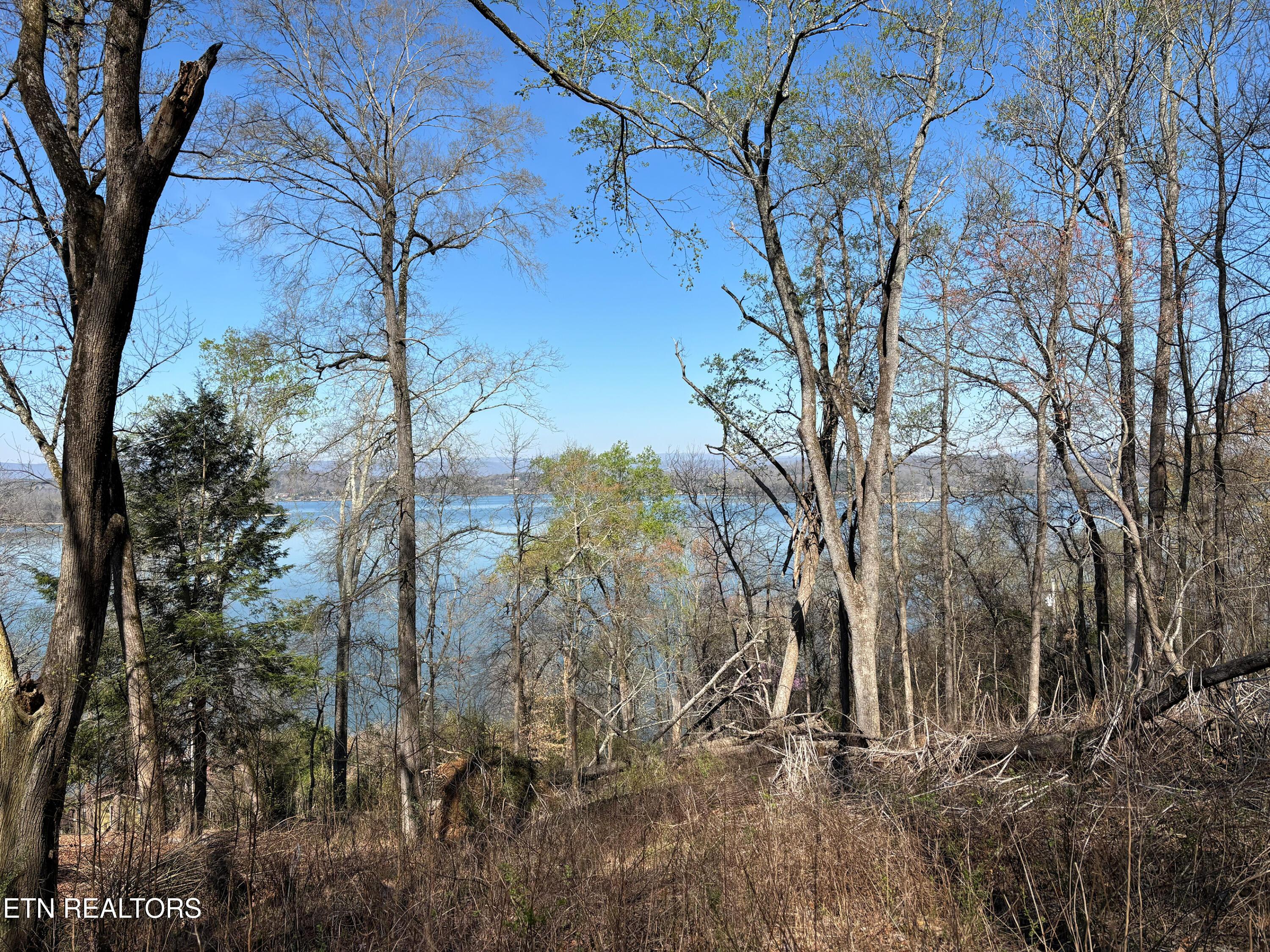 Image 2: IMG_8626