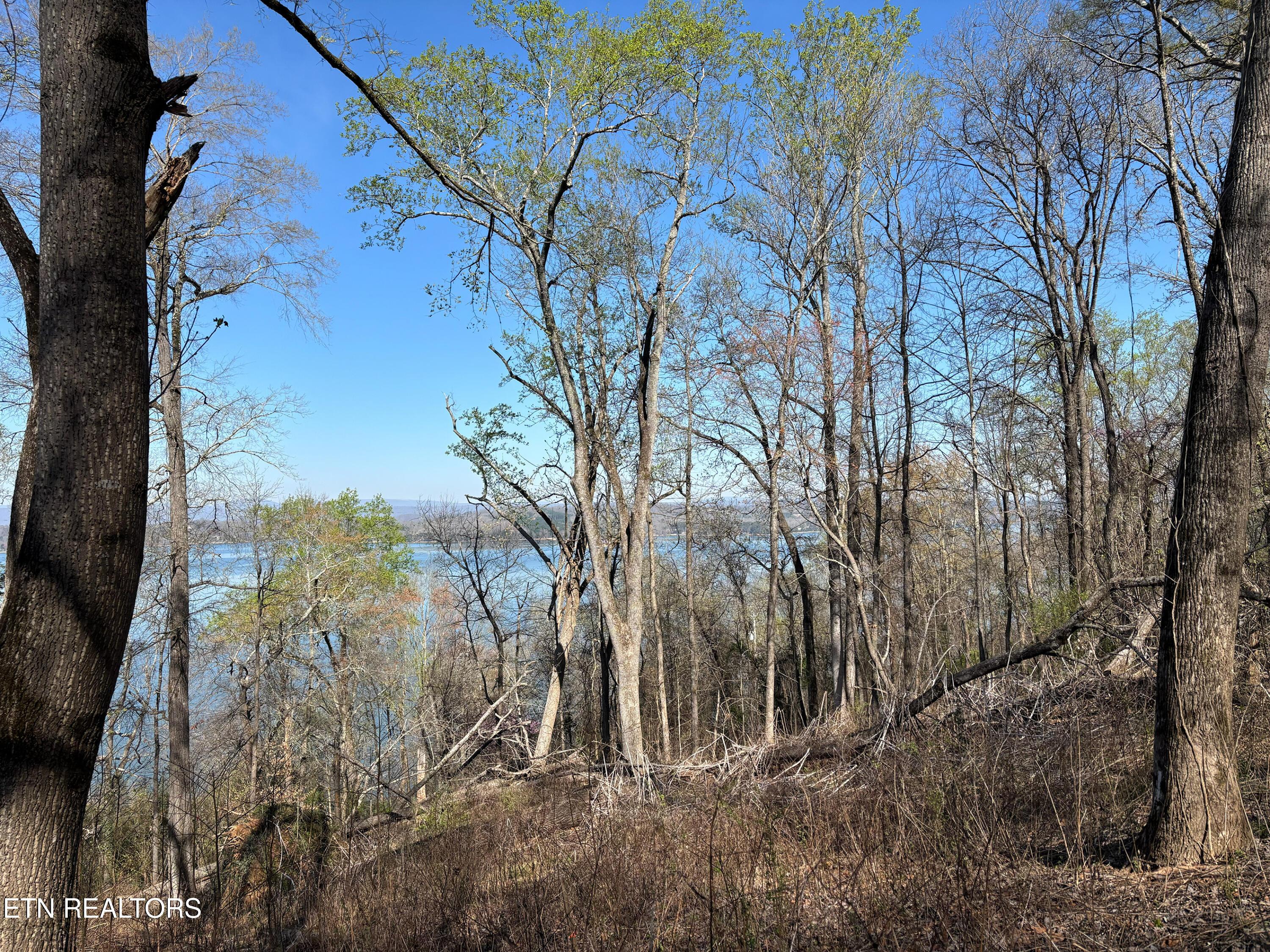 Image 3: IMG_8625