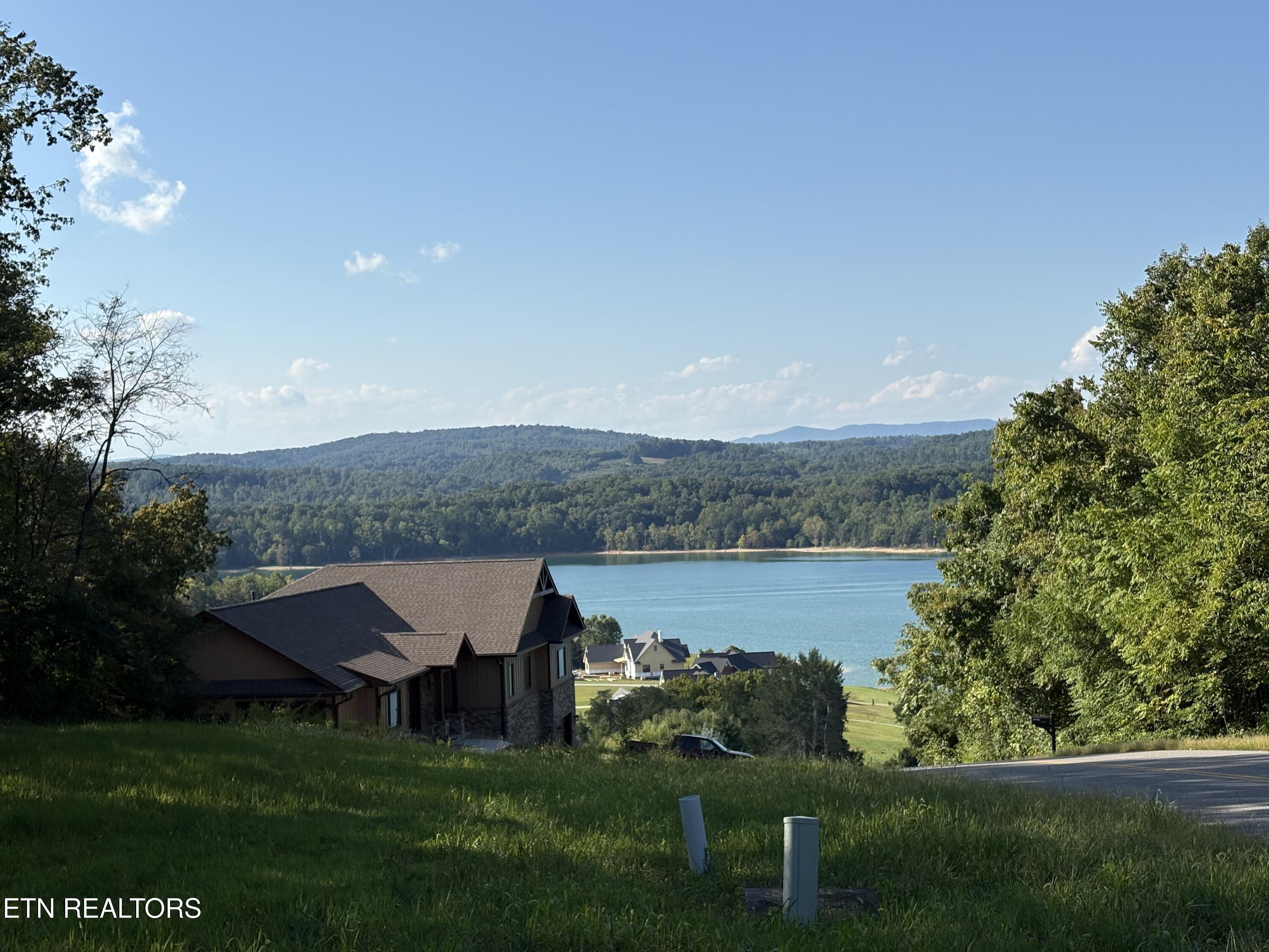 Image 2: Lot 541
