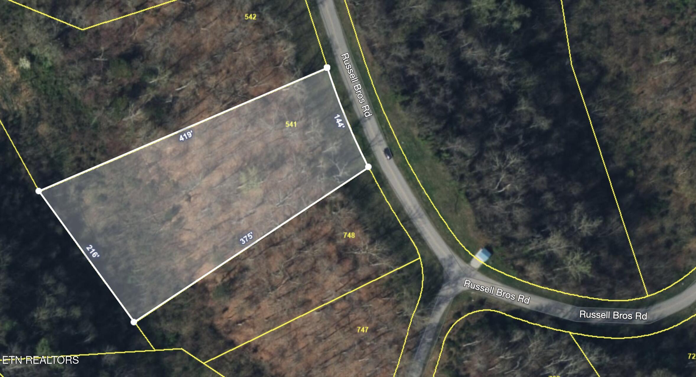 Image 3: Lot 541