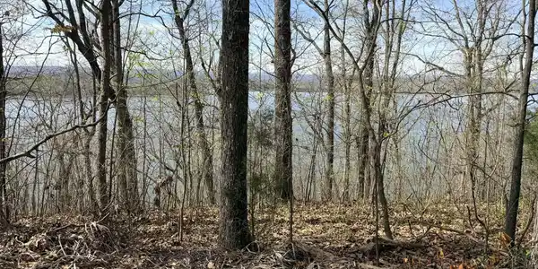 Image 2: 47947636-b6d2-4d6d-aec8-63974dc1e1db