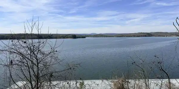 Image 3: 0ce38238-05ea-4b0c-b014-7078fa9ed29e