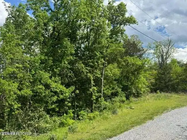 Image 1: 1