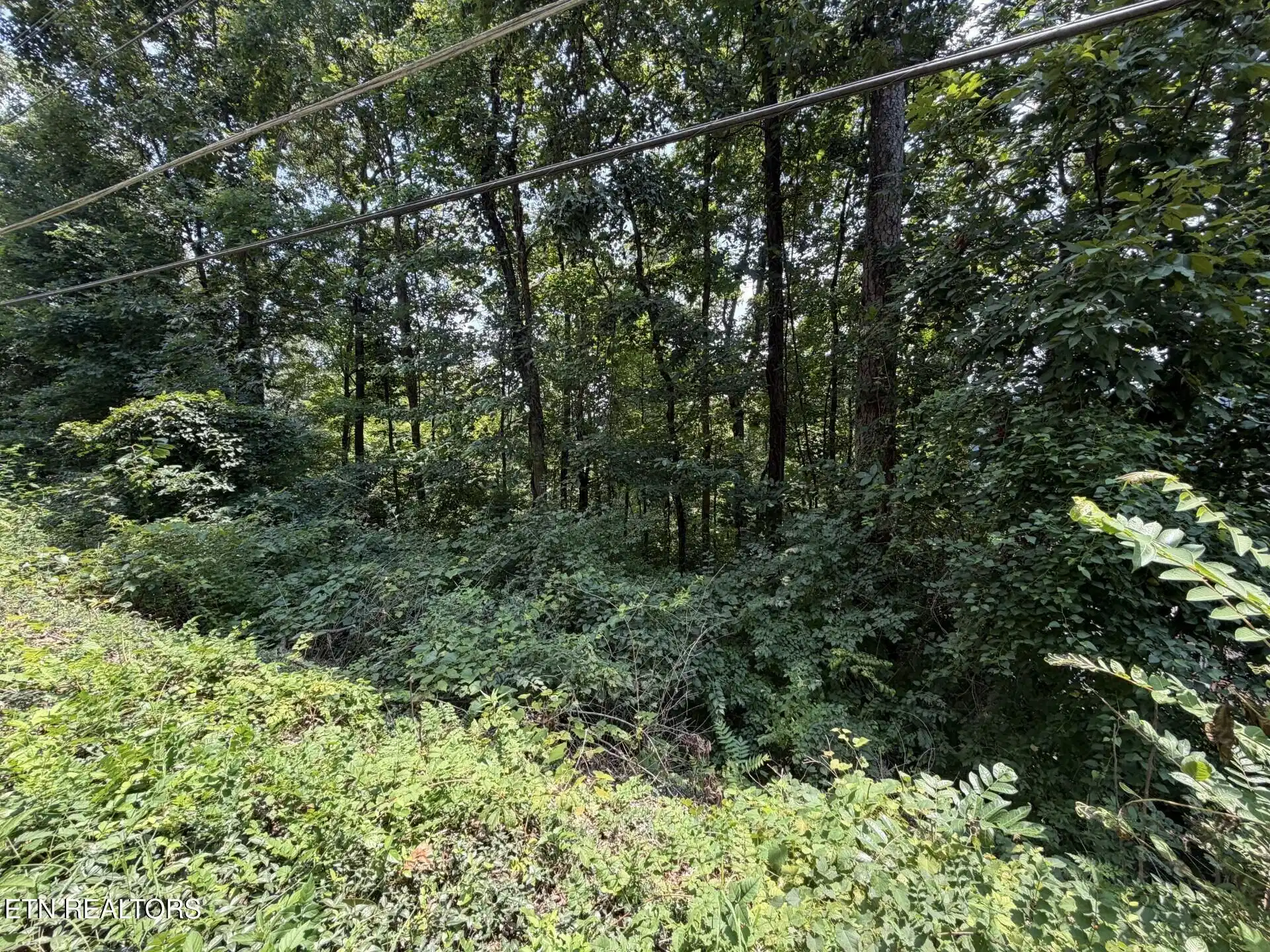 Image 1: Lot Photo 1